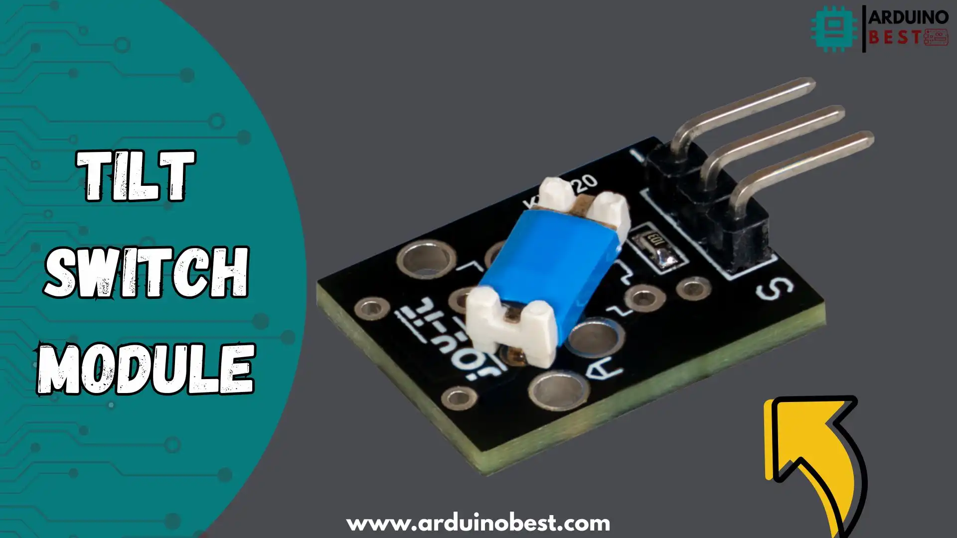 Tilt Switch Module